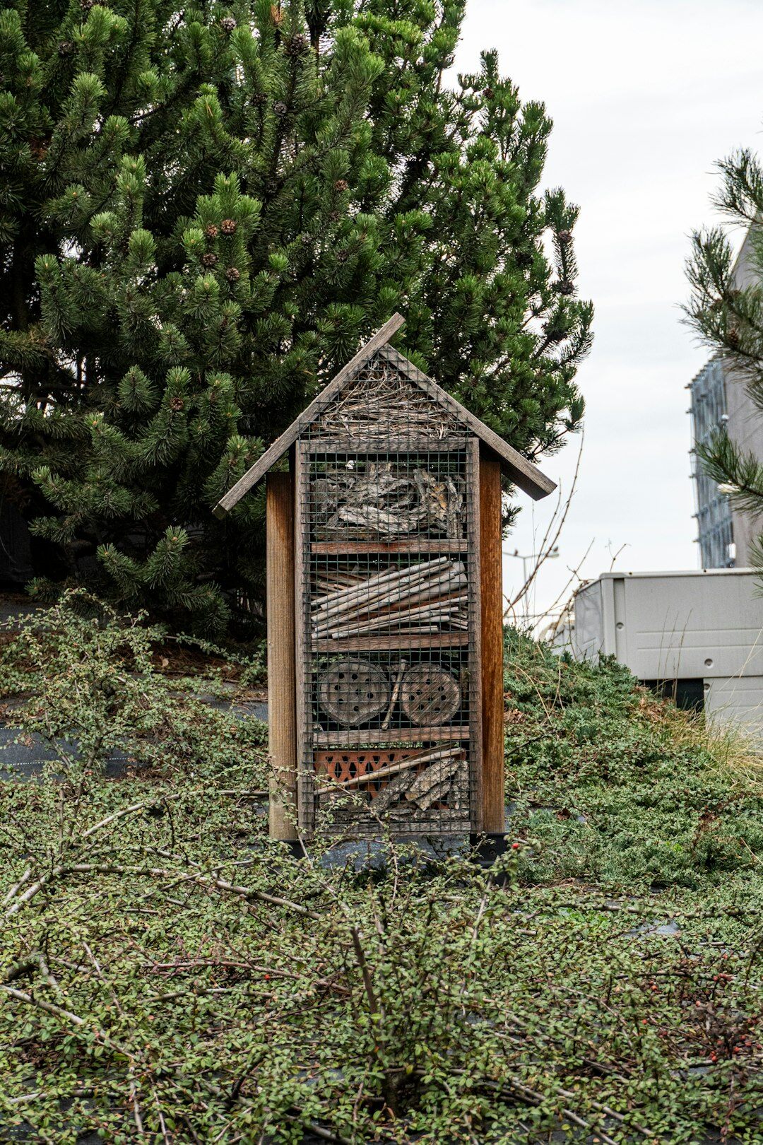 insect hotel