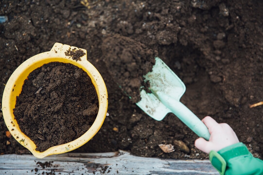 beer trap in soil