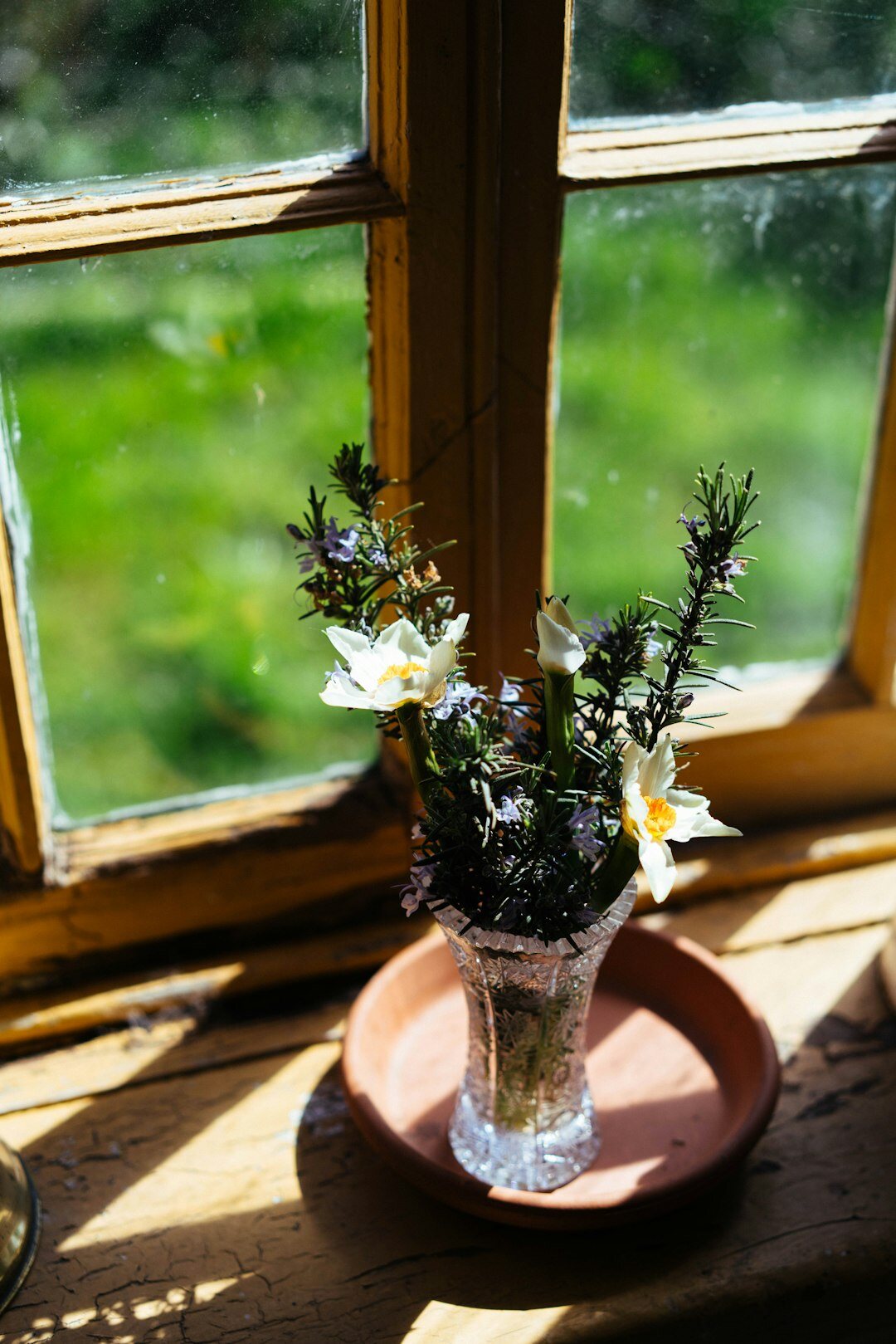 fresh herbs on windowsill